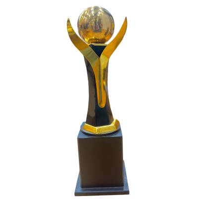 Cricket 6 pall Premium Quality Metal Trophy With Wooden Base