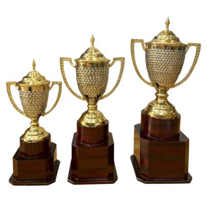 Cricket Trophy D No  112 Cricket Tournament Trophy Corporate Cricket Trophy Premium metal Trophy