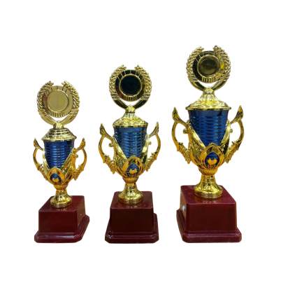 D.No. 2021/Cup Trophy/Cricket Tournament Trophy/Corporate Cricket Trophy/Premium Fiber Trophy