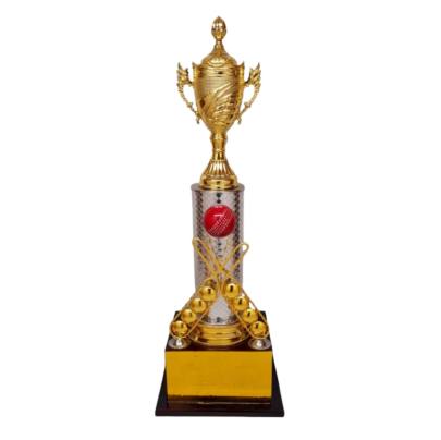 D No  1119 New Cricket Tournament Trophy Corporate Cricket Trophy Premium Fiber   Metal Trophy