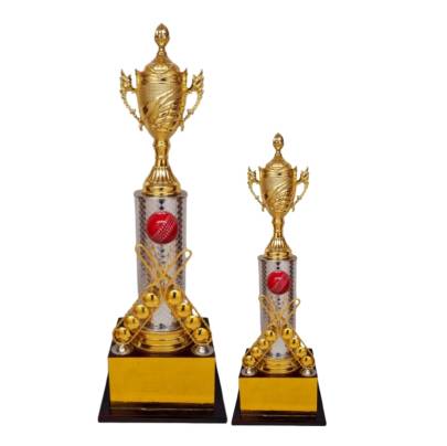 D No  1119 New Cricket Tournament Trophy Corporate Cricket Trophy Premium Fiber   Metal Trophy