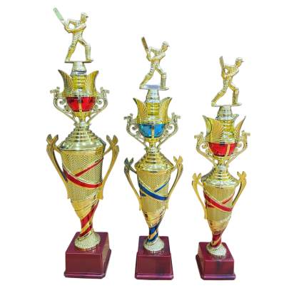 D2036 Sports Trophy Cricket Winner Trophy Premium Fiber Trophy
