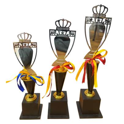Lazer Cup Premium Quality Metal Cricket Trophy With Wooden Base