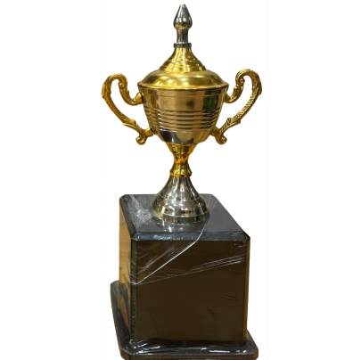 Trophy Cup Dora/Cup Trophy/Cricket Tournament Trophy/Corporate Cricket Trophy/Premium Metal Trophy