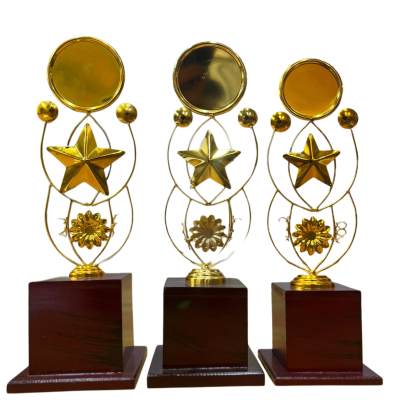 Trophy Star/Premium Quality Metal Award Trophy/Corporate Trophy